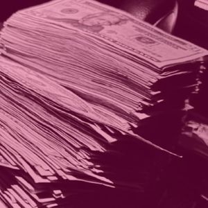 Meet your Posher, Bree